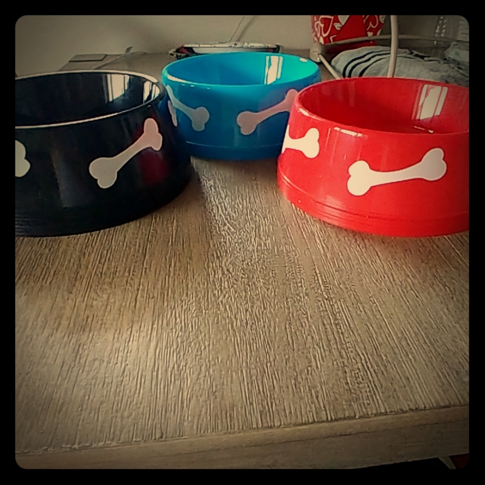 Dogs bowls